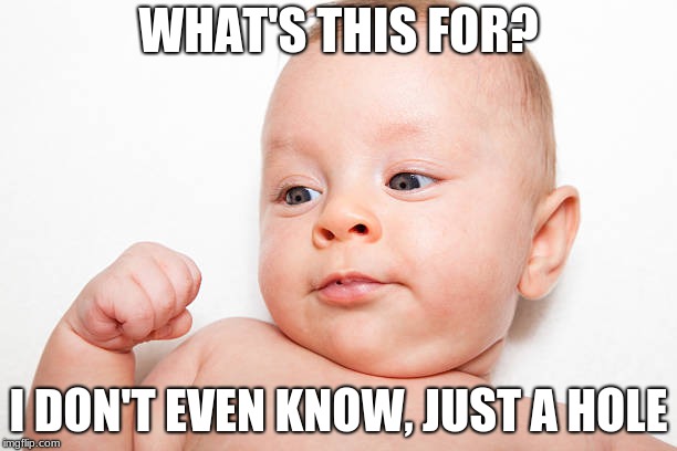 BABY BOSS | WHAT'S THIS FOR? I DON'T EVEN KNOW, JUST A HOLE | image tagged in are you kidding me | made w/ Imgflip meme maker
