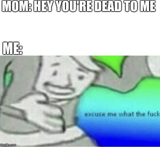 Excuse me wtf blank template | MOM: HEY YOU'RE DEAD TO ME; ME: | image tagged in excuse me wtf blank template | made w/ Imgflip meme maker