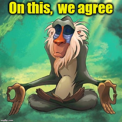 rafiki meditates | On this,  we agree | image tagged in rafiki meditates | made w/ Imgflip meme maker