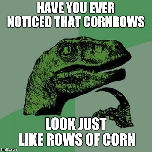 Philosoraptor | HAVE YOU EVER NOTICED THAT CORNROWS; LOOK JUST LIKE ROWS OF CORN | image tagged in memes,philosoraptor | made w/ Imgflip meme maker