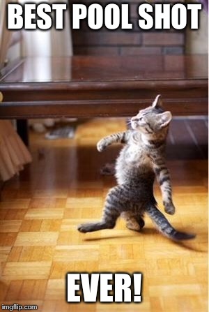 Walking Cat | BEST POOL SHOT EVER! | image tagged in walking cat | made w/ Imgflip meme maker