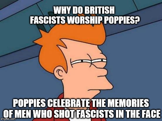 Futurama Fry | WHY DO BRITISH FASCISTS WORSHIP POPPIES? POPPIES CELEBRATE THE MEMORIES OF MEN WHO SHOT FASCISTS IN THE FACE | image tagged in memes,futurama fry | made w/ Imgflip meme maker