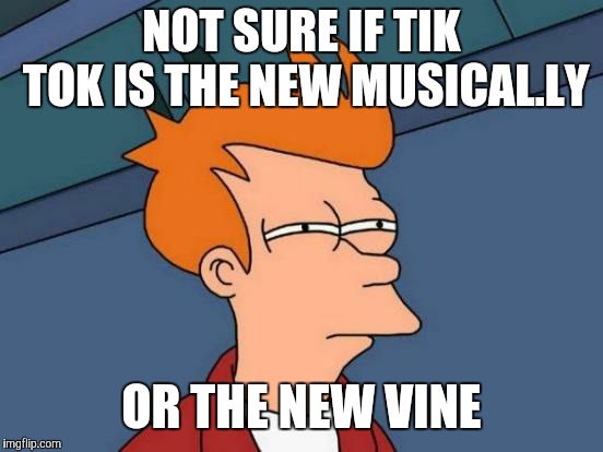 Cue the little girl from the Old El Paso commercial.  | NOT SURE IF TIK TOK IS THE NEW MUSICAL.LY; OR THE NEW VINE | image tagged in memes,futurama fry,tik tok,apps | made w/ Imgflip meme maker