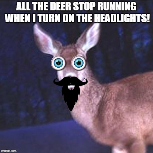 Could have saved a lot of bother... Imgflip