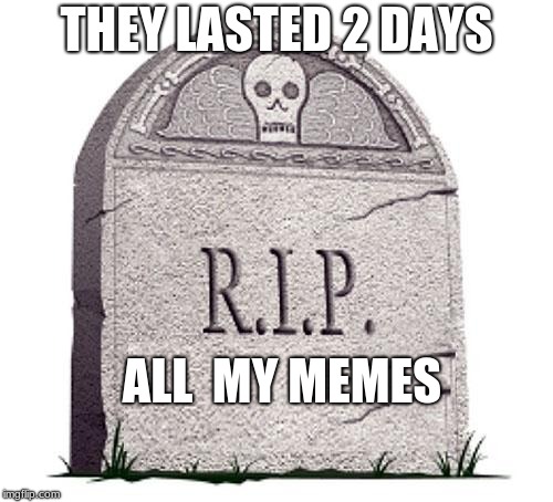 RIP | THEY LASTED 2 DAYS; ALL  MY MEMES | image tagged in rip | made w/ Imgflip meme maker