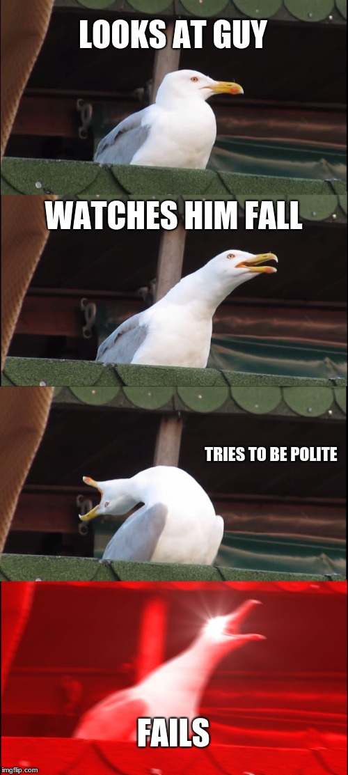 Inhaling Seagull | LOOKS AT GUY; WATCHES HIM FALL; TRIES TO BE POLITE; FAILS | image tagged in memes,inhaling seagull | made w/ Imgflip meme maker