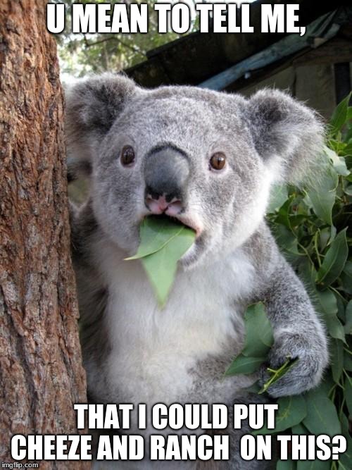 Surprised Koala | U MEAN TO TELL ME, THAT I COULD PUT CHEEZE AND RANCH  ON THIS? | image tagged in memes,surprised koala | made w/ Imgflip meme maker