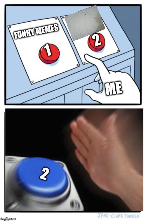 Two Buttons Meme | 2; FUNNY MEMES; 1; ME; 2 | image tagged in memes,two buttons | made w/ Imgflip meme maker