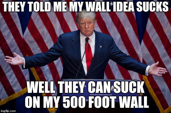 Trump Bruh | THEY TOLD ME MY WALL IDEA SUCKS; WELL THEY CAN SUCK ON MY 500 FOOT WALL | image tagged in trump bruh | made w/ Imgflip meme maker