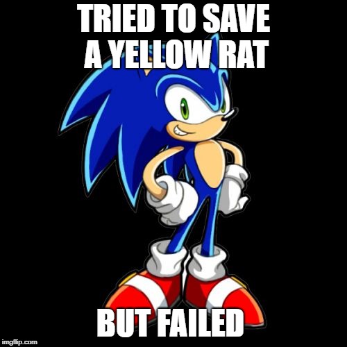You're Too Slow Sonic Meme | TRIED TO SAVE A YELLOW RAT; BUT FAILED | image tagged in memes,youre too slow sonic | made w/ Imgflip meme maker