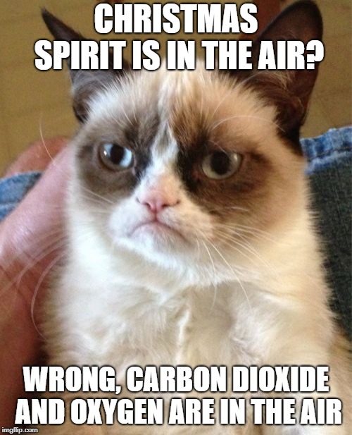 Grumpy Cat | CHRISTMAS SPIRIT IS IN THE AIR? WRONG, CARBON DIOXIDE AND OXYGEN ARE IN THE AIR | image tagged in memes,grumpy cat | made w/ Imgflip meme maker