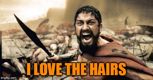 Sparta Leonidas Meme | I LOVE THE HAIRS | image tagged in memes,sparta leonidas | made w/ Imgflip meme maker