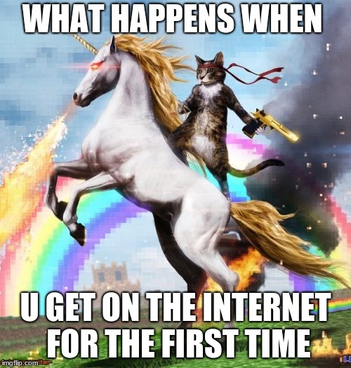 Welcome To The Internets Meme | WHAT HAPPENS WHEN; U GET ON THE INTERNET FOR THE FIRST TIME | image tagged in memes,welcome to the internets | made w/ Imgflip meme maker