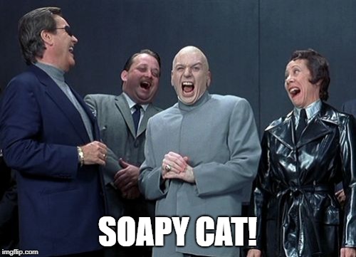 Laughing Villains Meme | SOAPY CAT! | image tagged in memes,laughing villains | made w/ Imgflip meme maker