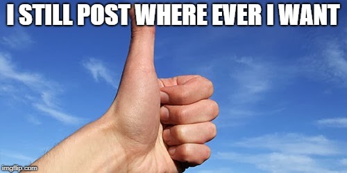 thumbs up | I STILL POST WHERE EVER I WANT | image tagged in thumbs up | made w/ Imgflip meme maker