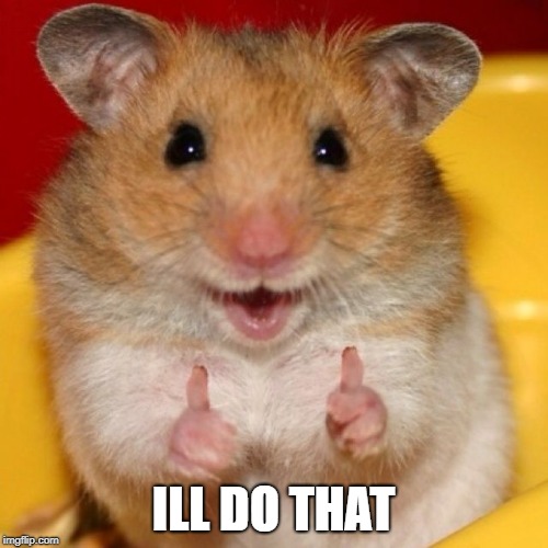 thumbs up | ILL DO THAT | image tagged in thumbs up | made w/ Imgflip meme maker