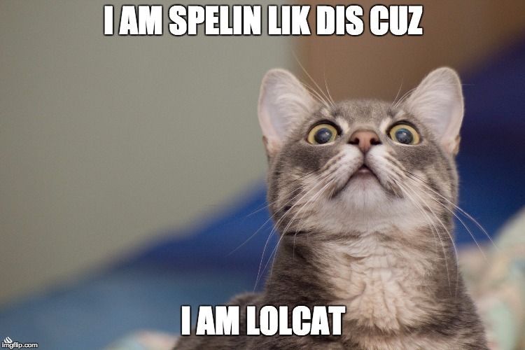 LOLCAT | I AM SPELIN LIK DIS CUZ; I AM LOLCAT | image tagged in lolcat | made w/ Imgflip meme maker