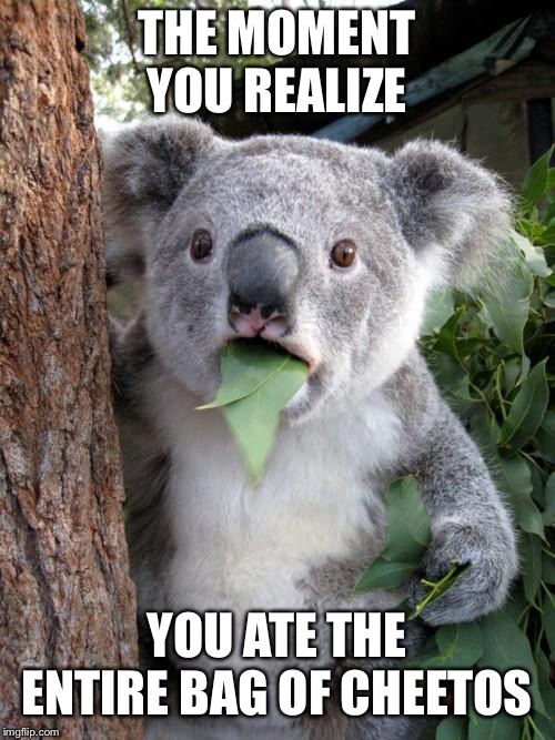 Surprised Koala Meme | THE MOMENT YOU REALIZE; YOU ATE THE ENTIRE BAG OF CHEETOS | image tagged in memes,surprised koala | made w/ Imgflip meme maker
