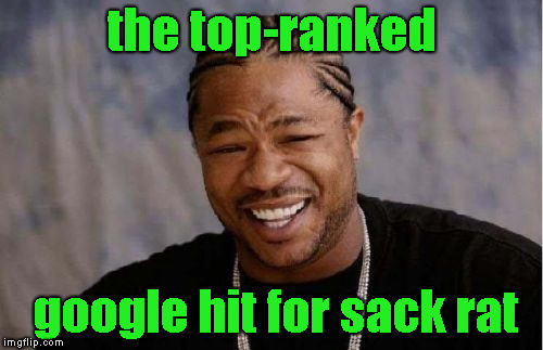 Yo Dawg Heard You Meme | the top-ranked google hit for sack rat | image tagged in memes,yo dawg heard you | made w/ Imgflip meme maker