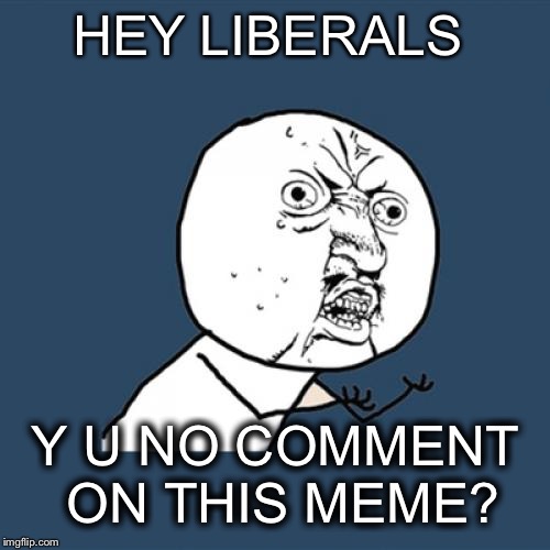 Y U No Meme | HEY LIBERALS Y U NO COMMENT ON THIS MEME? | image tagged in memes,y u no | made w/ Imgflip meme maker