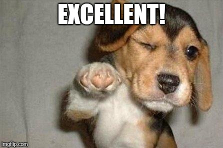 Awesome Dog | EXCELLENT! | image tagged in awesome dog | made w/ Imgflip meme maker