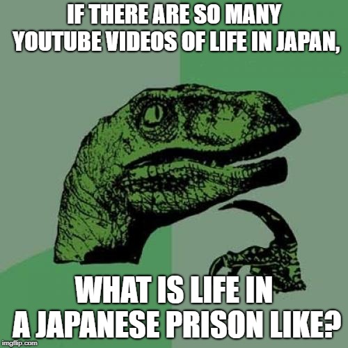 Are the people so perfect that there are none? | IF THERE ARE SO MANY YOUTUBE VIDEOS OF LIFE IN JAPAN, WHAT IS LIFE IN A JAPANESE PRISON LIKE? | image tagged in memes,philosoraptor,japan,prison,youtube,meanwhile in japan | made w/ Imgflip meme maker