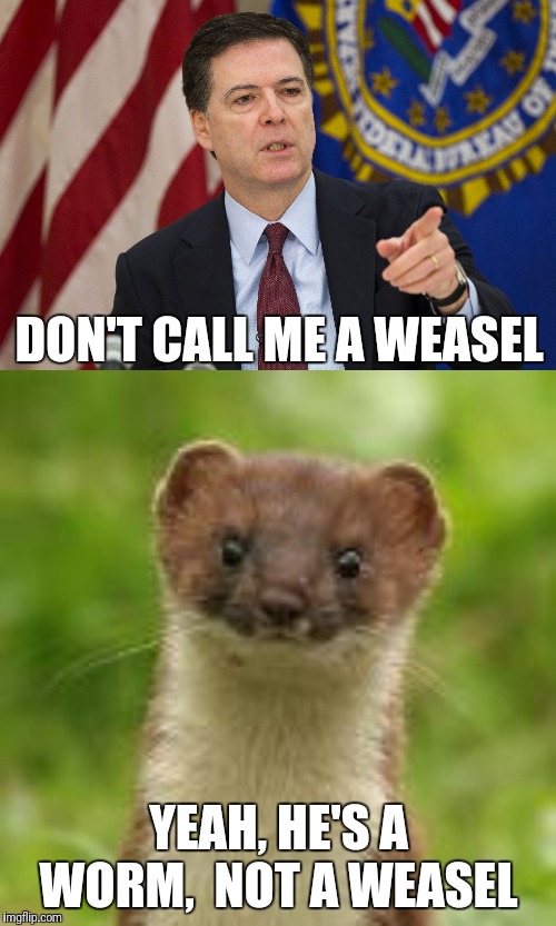 DON'T CALL ME A WEASEL; YEAH, HE'S A WORM,  NOT A WEASEL | image tagged in fbi director james comey | made w/ Imgflip meme maker