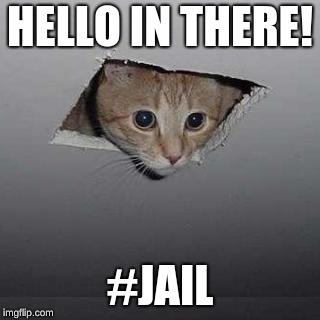 Ceiling Cat | HELLO IN THERE! #JAIL | image tagged in memes,ceiling cat | made w/ Imgflip meme maker