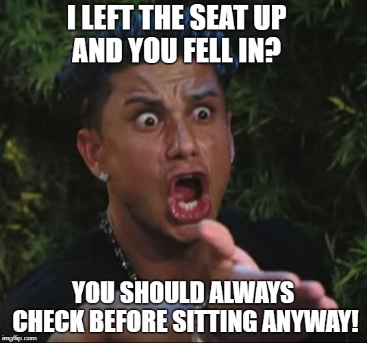 DJ Pauly D | I LEFT THE SEAT UP             AND YOU FELL IN? YOU SHOULD ALWAYS CHECK BEFORE SITTING ANYWAY! | image tagged in memes,dj pauly d | made w/ Imgflip meme maker