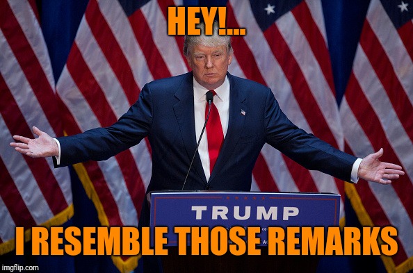 Donald Trump | HEY!... I RESEMBLE THOSE REMARKS | image tagged in donald trump | made w/ Imgflip meme maker