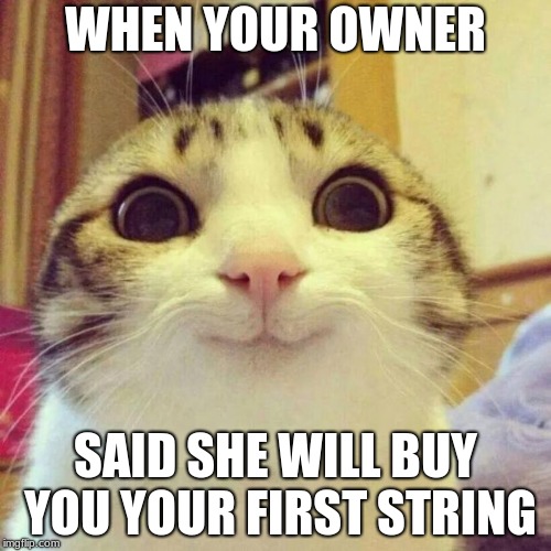 your first toy | WHEN YOUR OWNER; SAID SHE WILL BUY YOU YOUR FIRST STRING | image tagged in memes,smiling cat | made w/ Imgflip meme maker