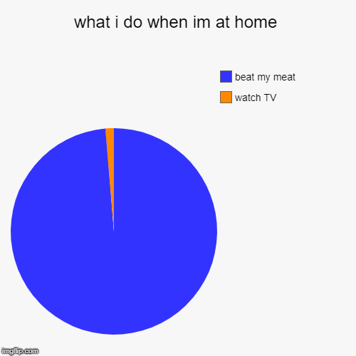 what i do when im at home | watch TV, beat my meat | image tagged in funny,pie charts | made w/ Imgflip chart maker