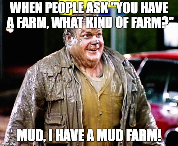 tommy boy mud | WHEN PEOPLE ASK "YOU HAVE A FARM, WHAT KIND OF FARM?"; MUD, I HAVE A MUD FARM! | image tagged in tommy boy mud | made w/ Imgflip meme maker