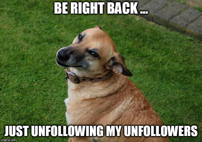 BE RIGHT BACK ... JUST UNFOLLOWING MY UNFOLLOWERS | image tagged in dog,unfollow | made w/ Imgflip meme maker