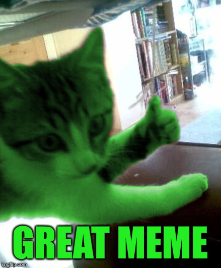 thumbs up RayCat | GREAT MEME | image tagged in thumbs up raycat | made w/ Imgflip meme maker