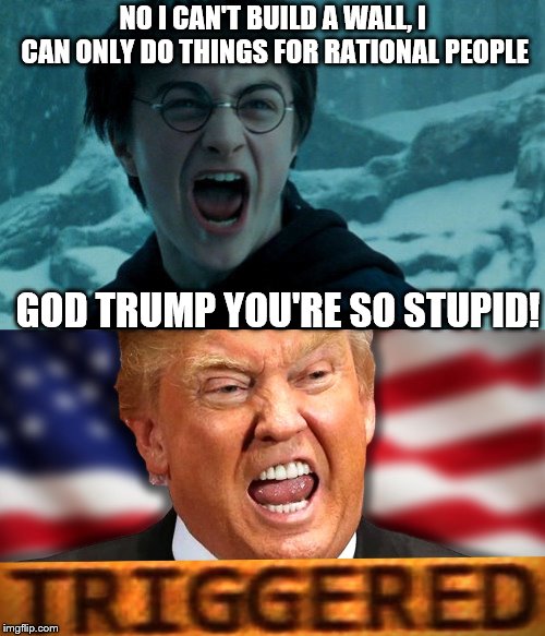 NO I CAN'T BUILD A WALL, I CAN ONLY DO THINGS FOR RATIONAL PEOPLE; GOD TRUMP YOU'RE SO STUPID! | image tagged in harry potter angry | made w/ Imgflip meme maker