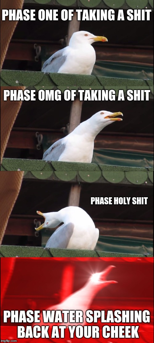 Inhaling Seagull | PHASE ONE OF TAKING A SHIT; PHASE OMG OF TAKING A SHIT; PHASE HOLY SHIT; PHASE WATER SPLASHING BACK AT YOUR CHEEK | image tagged in memes,inhaling seagull | made w/ Imgflip meme maker