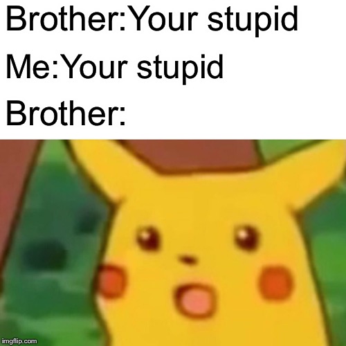 Surprised Pikachu | Brother:Your stupid; Me:Your stupid; Brother: | image tagged in memes,surprised pikachu | made w/ Imgflip meme maker