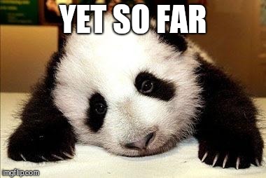sad panda | YET SO FAR | image tagged in sad panda | made w/ Imgflip meme maker