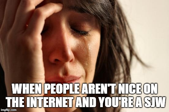 First World Problems | WHEN PEOPLE AREN'T NICE ON THE INTERNET AND YOU'RE A SJW | image tagged in memes,first world problems | made w/ Imgflip meme maker