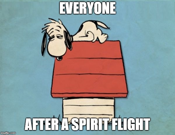 Snoopy bushed | EVERYONE; AFTER A SPIRIT FLIGHT | image tagged in snoopy bushed | made w/ Imgflip meme maker