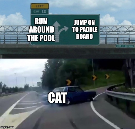 RUN AROUND THE POOL JUMP ON TO PADDLE BOARD CAT | image tagged in memes,left exit 12 off ramp | made w/ Imgflip meme maker