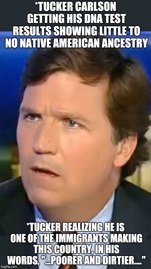 Tucker Carlson | *TUCKER CARLSON GETTING HIS DNA TEST RESULTS SHOWING LITTLE TO NO NATIVE AMERICAN ANCESTRY; *TUCKER REALIZING HE IS ONE OF THE IMMIGRANTS MAKING THIS COUNTRY, IN HIS WORDS, "...POORER AND DIRTIER...." | image tagged in tucker carlson | made w/ Imgflip meme maker