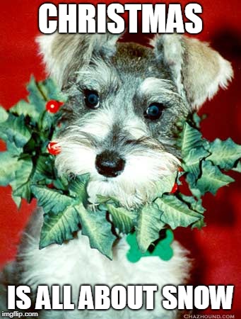 Christmas Schnauzer | CHRISTMAS; IS ALL ABOUT SNOW | image tagged in christmas,puppy | made w/ Imgflip meme maker