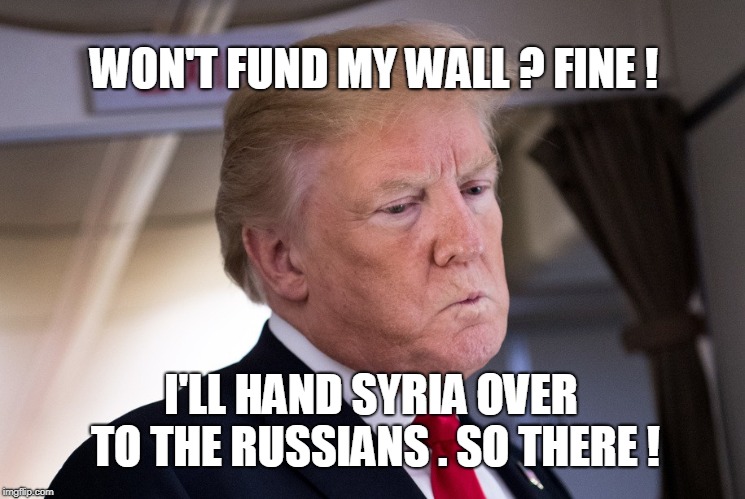 WON'T FUND MY WALL ? FINE ! I'LL HAND SYRIA OVER TO THE RUSSIANS . SO THERE ! | image tagged in trump,syria | made w/ Imgflip meme maker