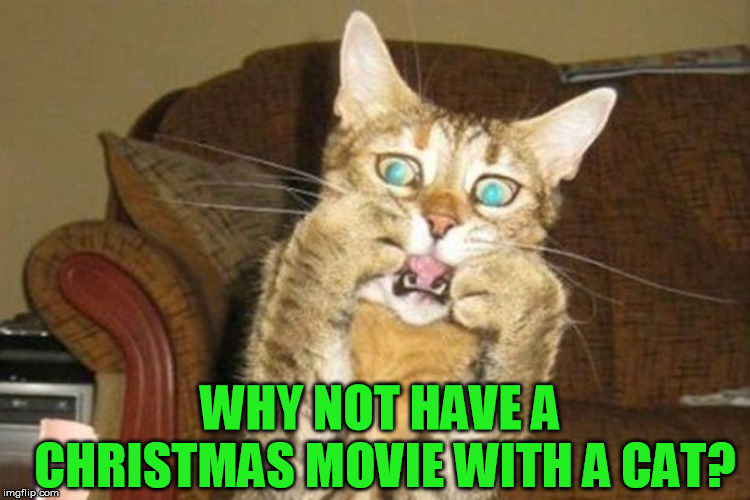 shocked cat | WHY NOT HAVE A CHRISTMAS MOVIE WITH A CAT? | image tagged in shocked cat | made w/ Imgflip meme maker