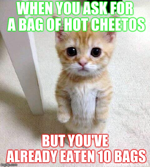 Cute Cat | WHEN YOU ASK FOR A BAG OF HOT CHEETOS; BUT YOU'VE ALREADY EATEN 10 BAGS | image tagged in memes,cute cat | made w/ Imgflip meme maker