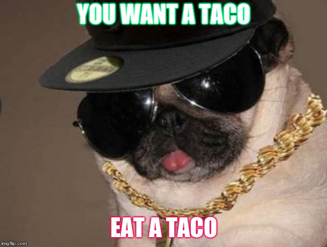 Gangster Pug | YOU WANT A TACO; EAT A TACO | image tagged in gangster pug | made w/ Imgflip meme maker