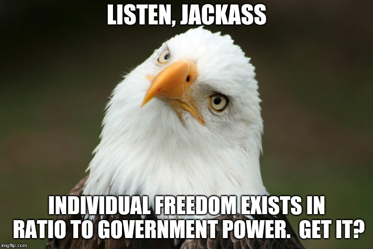 Curmudgeon Eagle | LISTEN, JACKASS; INDIVIDUAL FREEDOM EXISTS IN RATIO TO GOVERNMENT POWER.  GET IT? | image tagged in liberty,libertarian,freedom,eagle,america | made w/ Imgflip meme maker