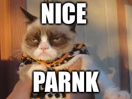 Grumpy Cat Halloween Meme | NICE PRANK | image tagged in memes,grumpy cat halloween,grumpy cat | made w/ Imgflip meme maker